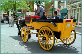 Carriage Ride