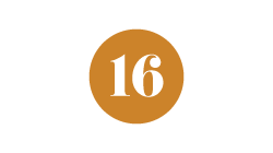 Advent Day 16