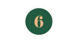 Advent Day 6
